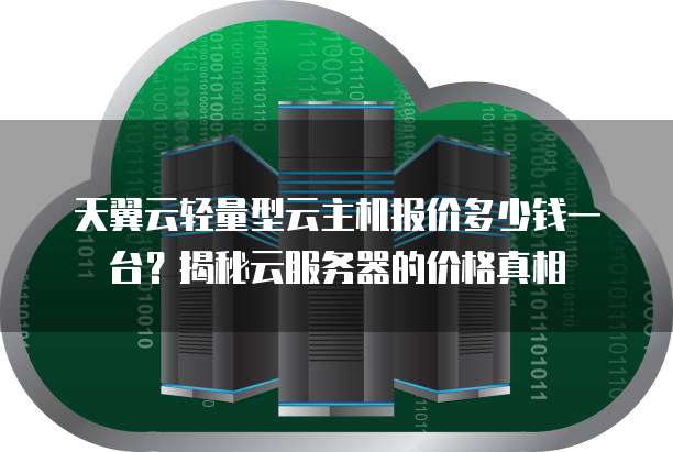 天翼云轻量型云主机报价多少钱一台？揭秘云服务器的价格真相