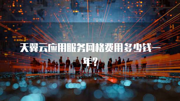 天翼云应用服务网格费用多少钱一年？