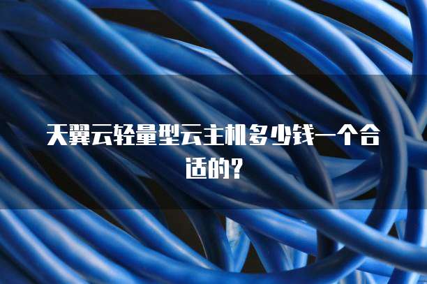 天翼云轻量型云主机多少钱一个合适的?