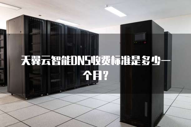 天翼云智能DNS收费标准是多少一个月?
