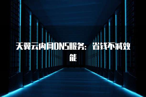 天翼云内网DNS服务:省钱不减效能