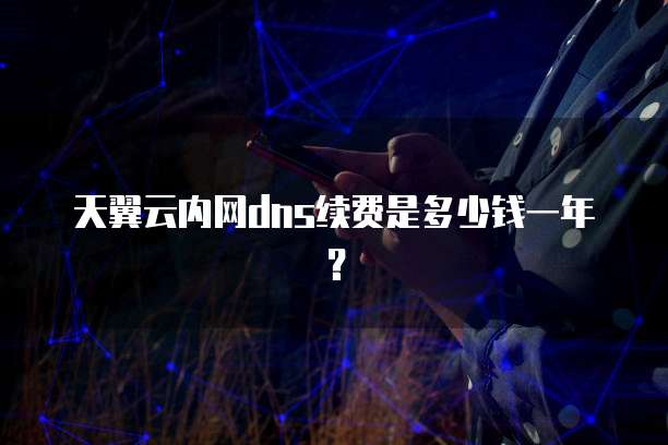 天翼云内网dns续费是多少钱一年?