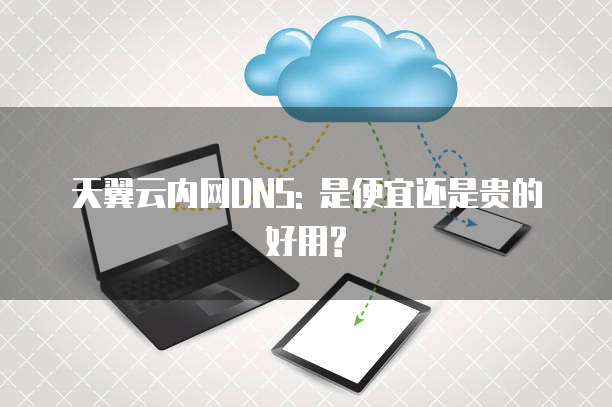 天翼云内网DNS: 是便宜还是贵的好用?