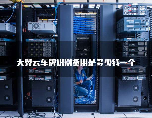 天翼云车牌识别费用是多少钱一个