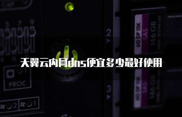 天翼云内网dns便宜多少最好使用