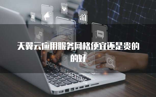 天翼云应用服务网格便宜还是贵的的好