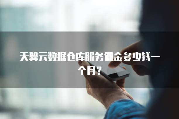 天翼云数据仓库服务佣金多少钱一个月?