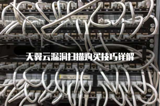 天翼云漏洞扫描购买技巧详解