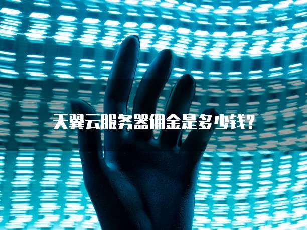 天翼云服务器佣金是多少钱？