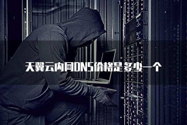 天翼云内网DNS价格是多少一个