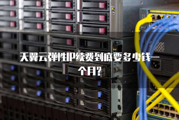 天翼云弹性IP续费到底要多少钱一个月?