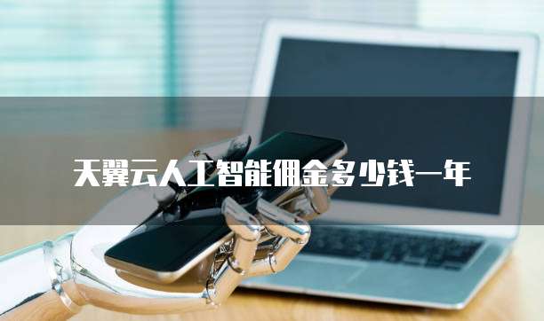 天翼云人工智能佣金多少钱一年