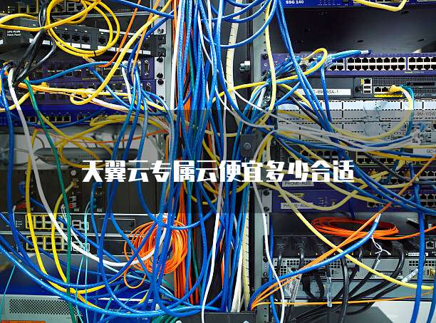 天翼云专属云便宜多少合适
