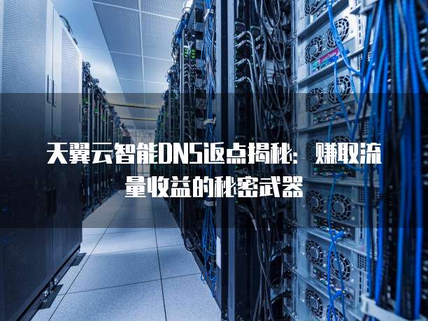 天翼云智能DNS返点揭秘:赚取流量收益的秘密武器