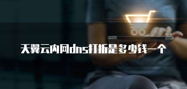 天翼云内网dns打折是多少钱一个