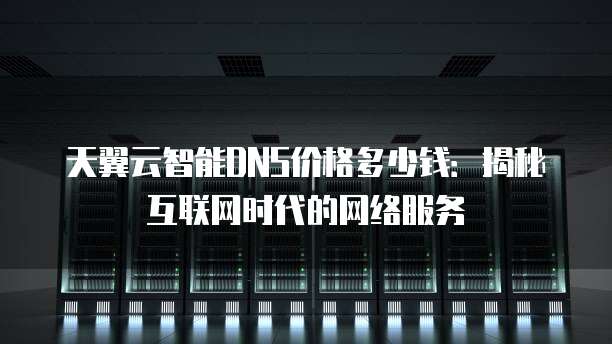 天翼云智能DNS价格多少钱:揭秘互联网时代的网络服务