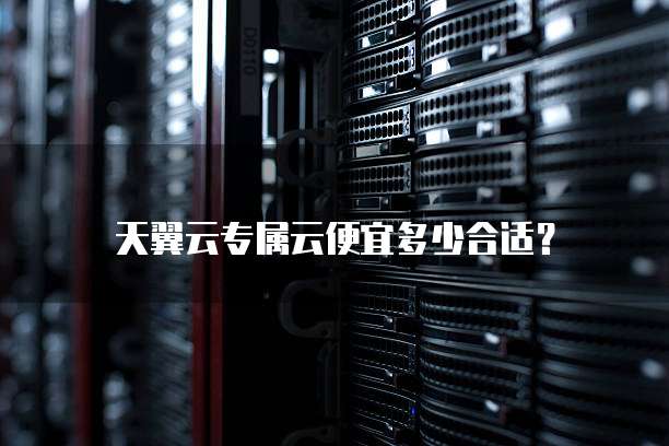 天翼云专属云便宜多少合适?