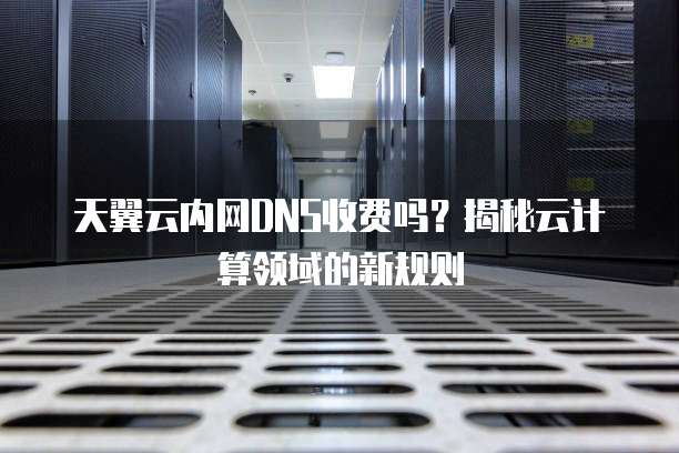 天翼云内网DNS收费吗?揭秘云计算领域的新规则