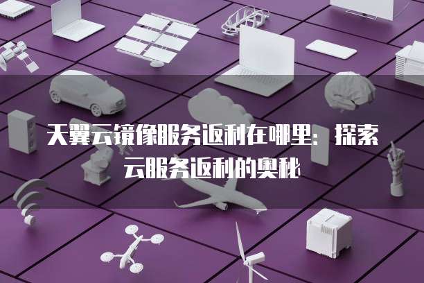 天翼云镜像服务返利在哪里：探索云服务返利的奥秘