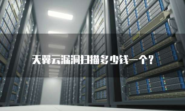 天翼云漏洞扫描多少钱一个?