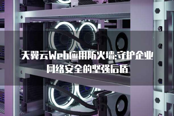 天翼云Web应用防火墙:守护企业网络安全的坚强后盾