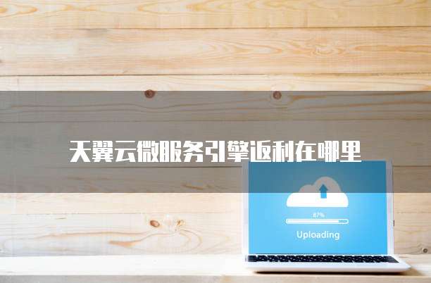 天翼云微服务引擎返利在哪里
