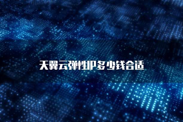 天翼云弹性IP多少钱合适