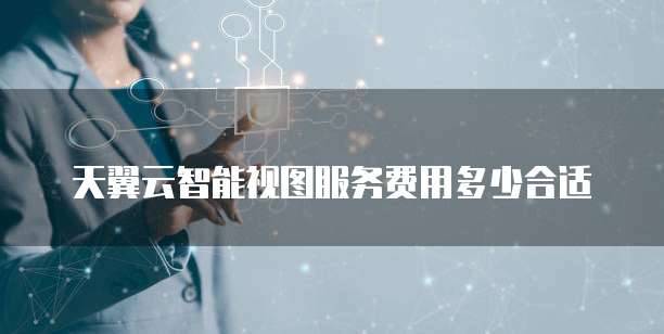 天翼云智能视图服务费用多少合适