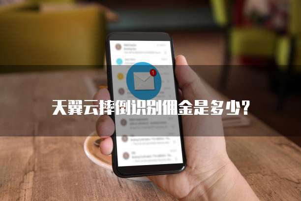 天翼云摔倒识别佣金是多少?