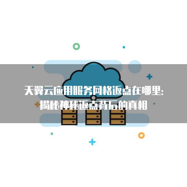 天翼云应用服务网格返点在哪里：揭秘神秘返点背后的真相