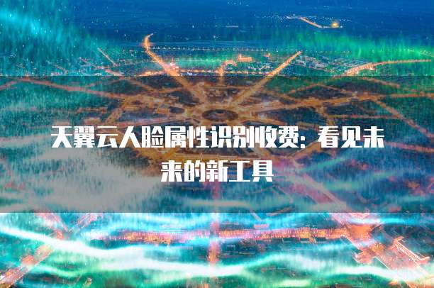 天翼云人脸属性识别收费: 看见未来的新工具