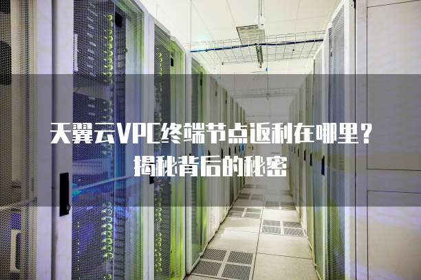 天翼云VPC终端节点返利在哪里?揭秘背后的秘密