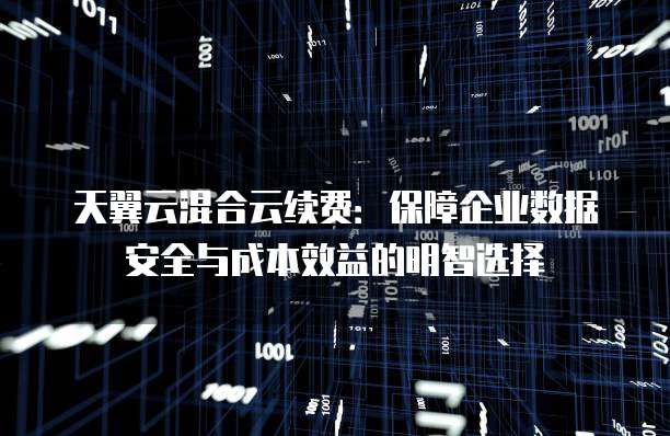 天翼云混合云续费:保障企业数据安全与成本效益的明智选择
