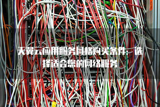 天翼云应用服务网格购买条件:选择适合您的网络服务