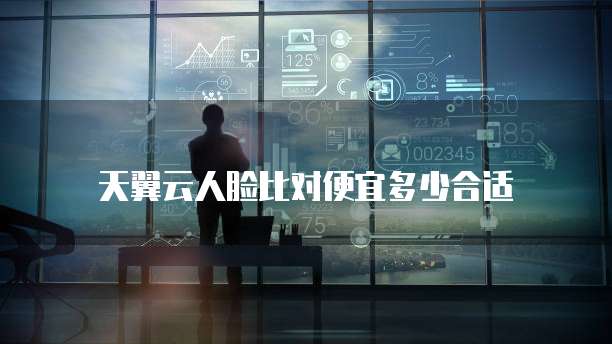 天翼云人脸比对便宜多少合适