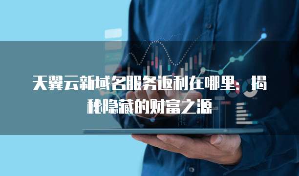 天翼云新域名服务返利在哪里:揭秘隐藏的财富之源