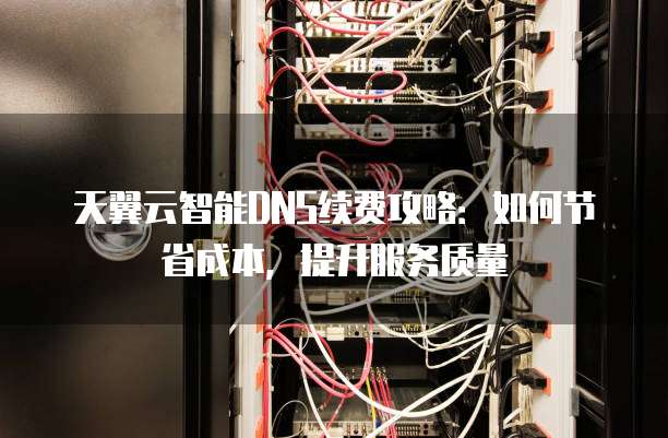 天翼云智能DNS续费攻略:如何节省成本,提升服务质量