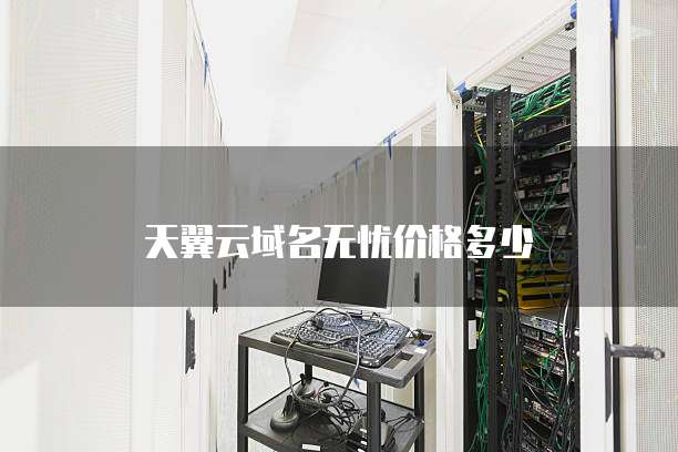 天翼云域名无忧价格多少