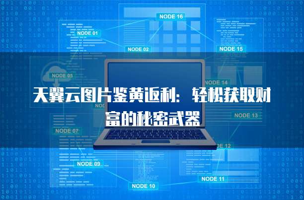 天翼云图片鉴黄返利:轻松获取财富的秘密武器