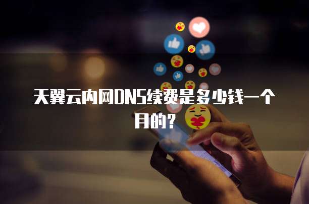 天翼云内网DNS续费是多少钱一个月的?