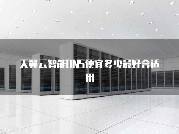 天翼云智能DNS便宜多少最好合适用