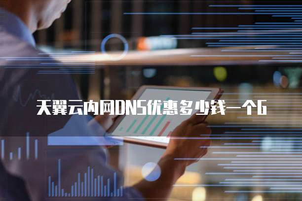 天翼云内网DNS优惠多少钱一个G