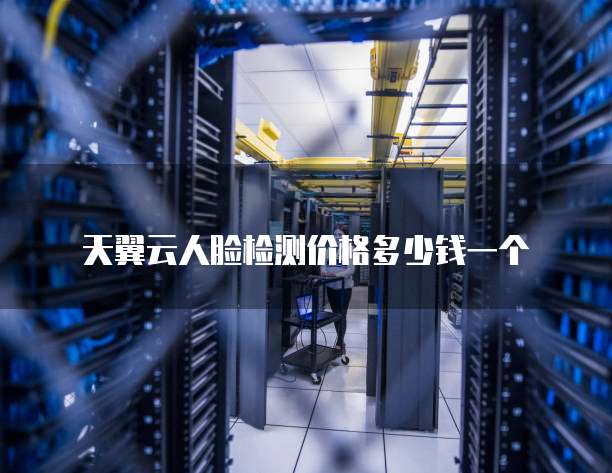 天翼云人脸检测价格多少钱一个