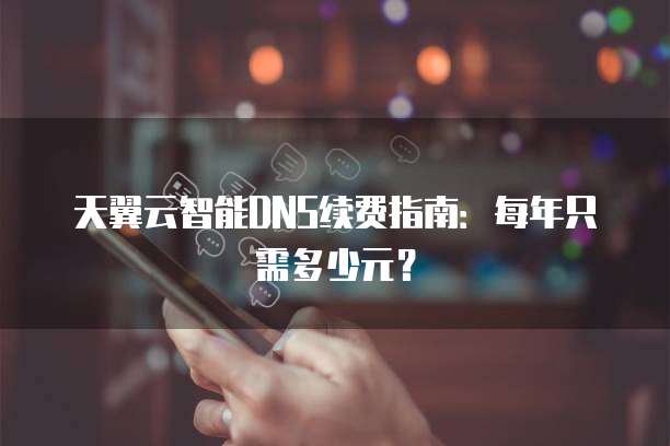 天翼云智能DNS续费指南：每年只需多少元？