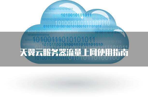 天翼云服务器流量上网使用指南