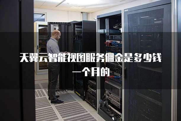 天翼云智能视图服务佣金是多少钱一个月的