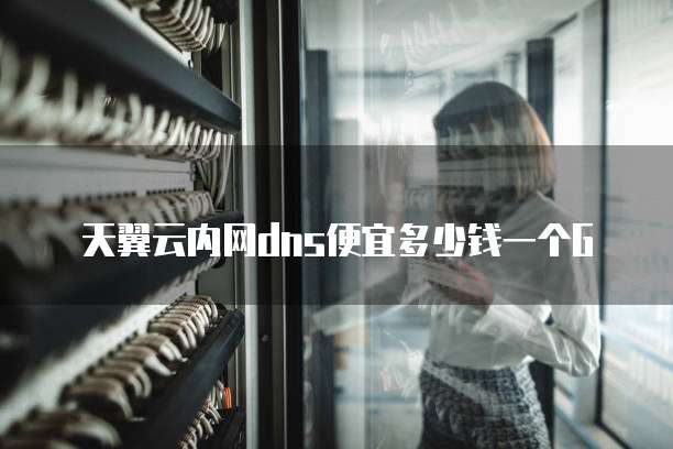 天翼云内网dns便宜多少钱一个G