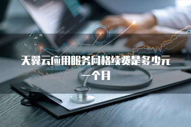 天翼云应用服务网格续费是多少元一个月