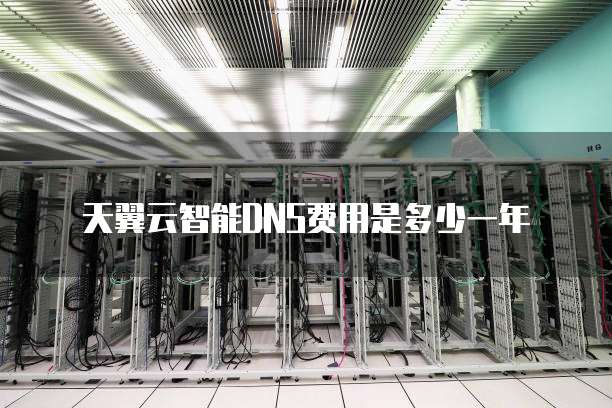 天翼云智能DNS费用是多少一年