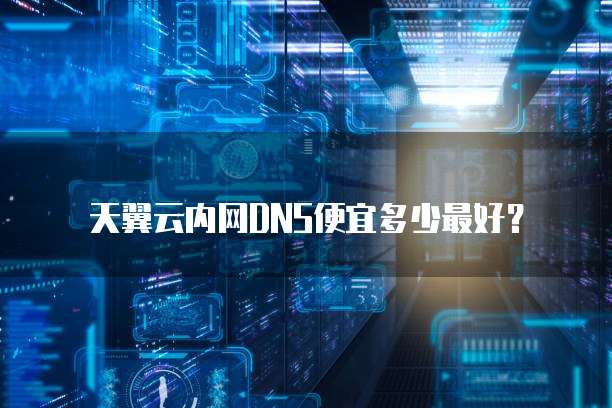 天翼云内网DNS便宜多少最好？